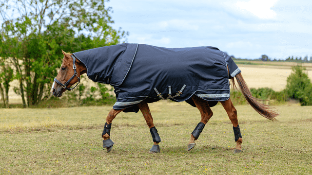 LeMieux Arika Storm-Tek Rug 200g