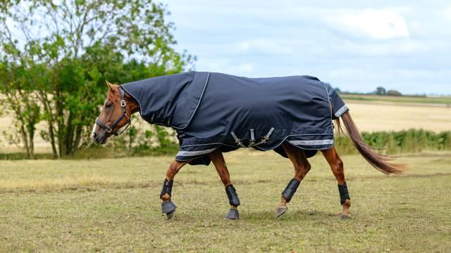 LeMieux Arika Storm-Tek Rug 350g