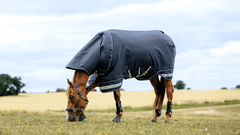 LeMieux Arika Storm-Tek Rug 100g