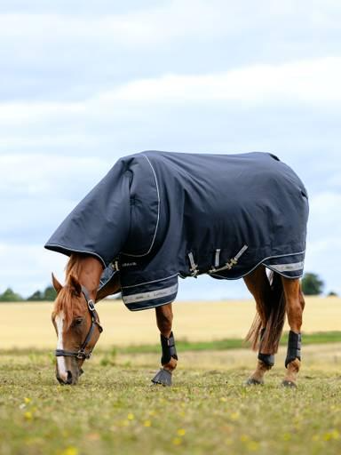 LeMieux Arika Storm-Tek Rug 100g