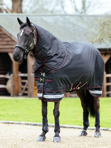 LeMieux Arika Storm-Tek Rug 350g