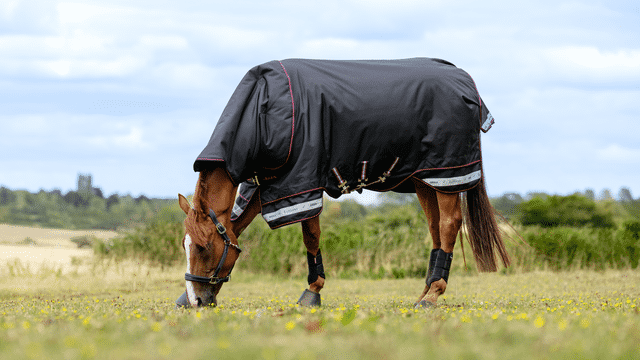 LeMieux Arika Storm-Tek Rug 200g