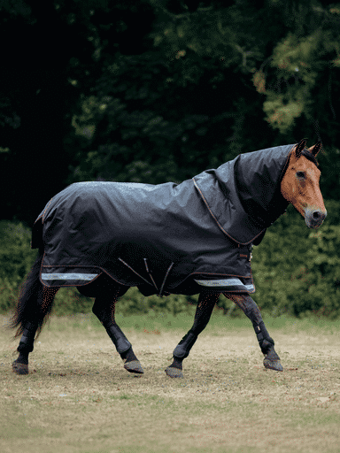 LeMieux Arika Storm-Tek Rug 200g