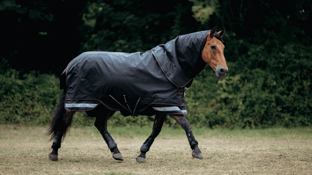 LeMieux Arika Storm-Tek Rug 50g