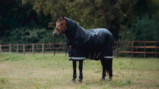 LeMieux Arika Storm-Tek Rug 350g