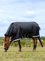 LeMieux Arika Storm-Tek Rug 350g