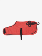 LeMieux Toy Pony Rug AW25
