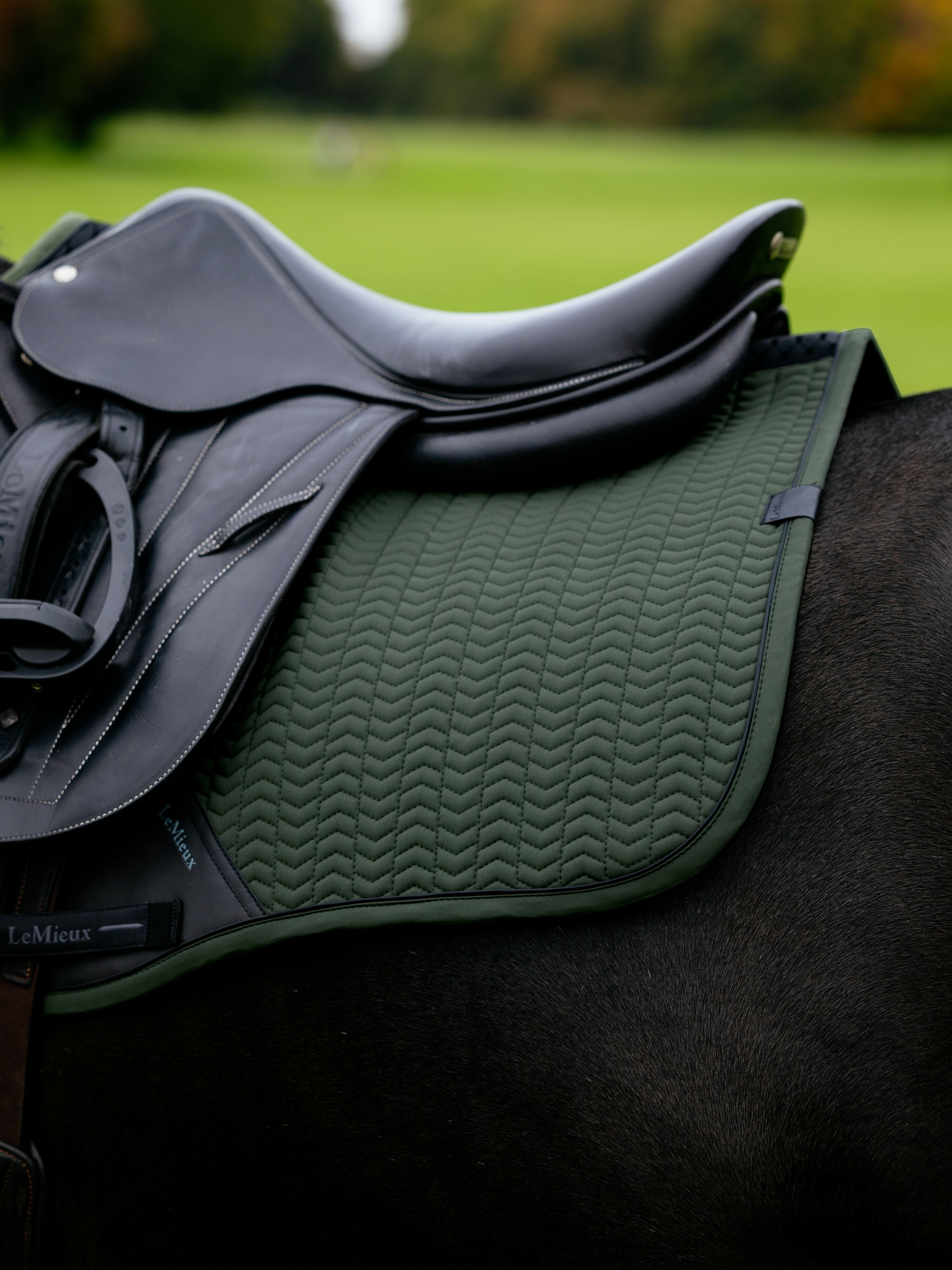 LeMieux Essence Eurojump Square