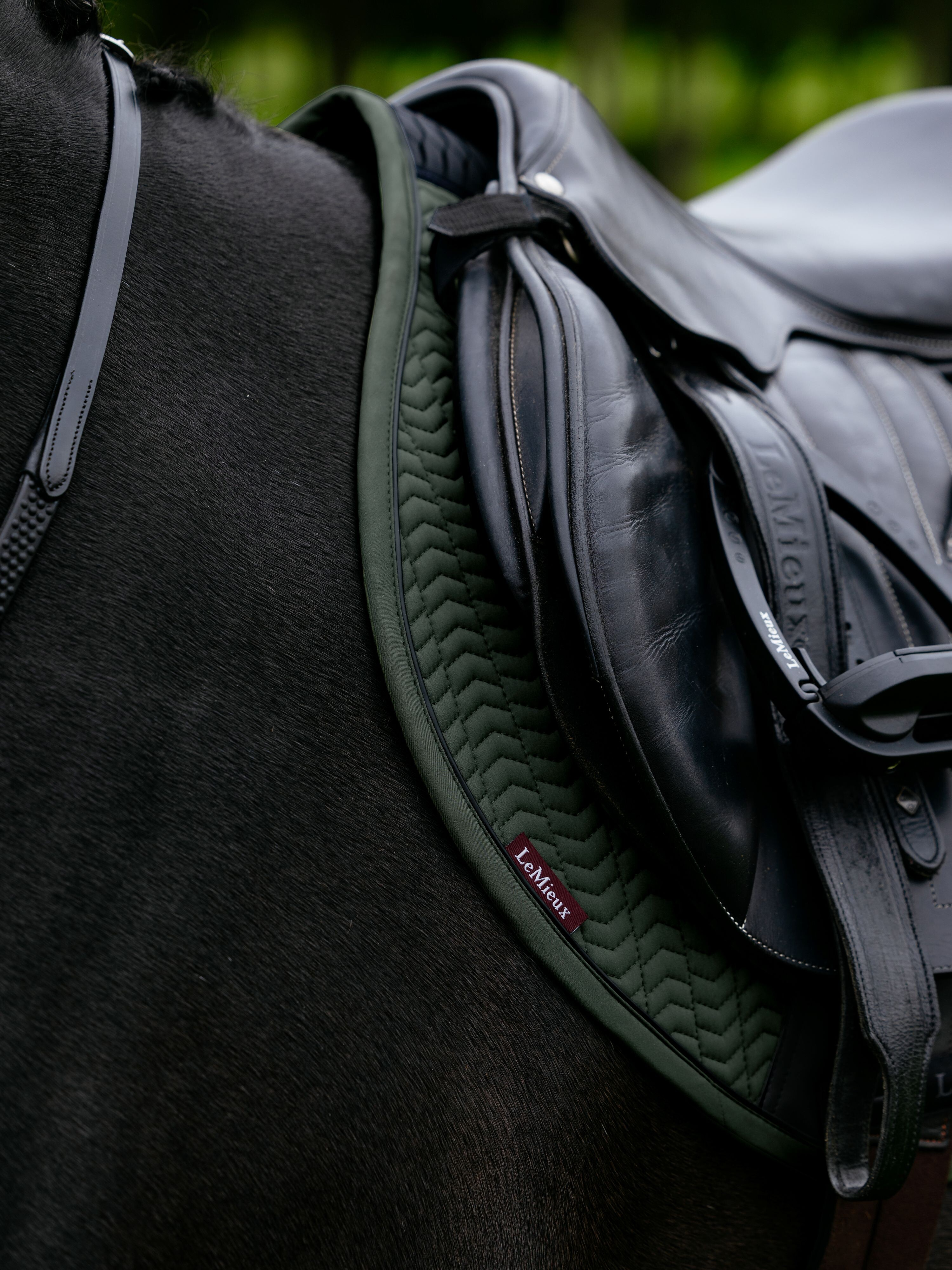 LeMieux Essence Eurojump Square