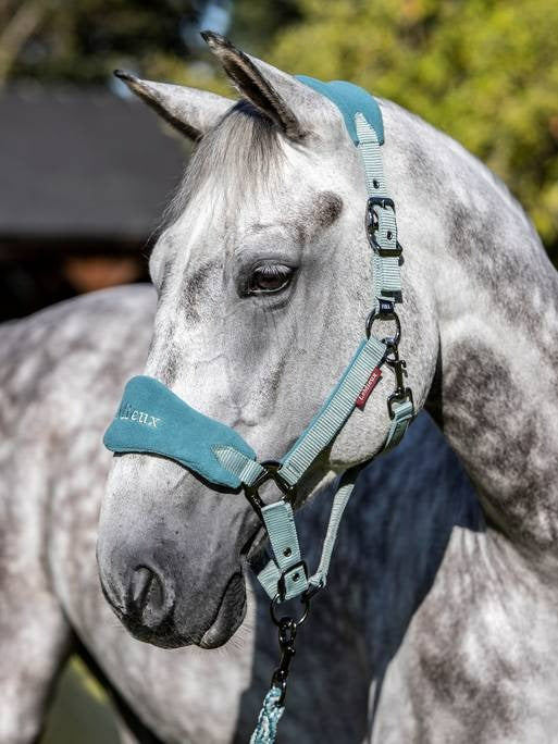 Lemieux Vogue Headcollar & Leadrope