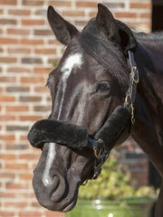 LeMieux Lambskin Headcollar Set