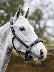 Lemieux Stitched Leather Headcollar