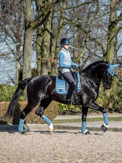 Lemieux Loire Memory Dressage Square