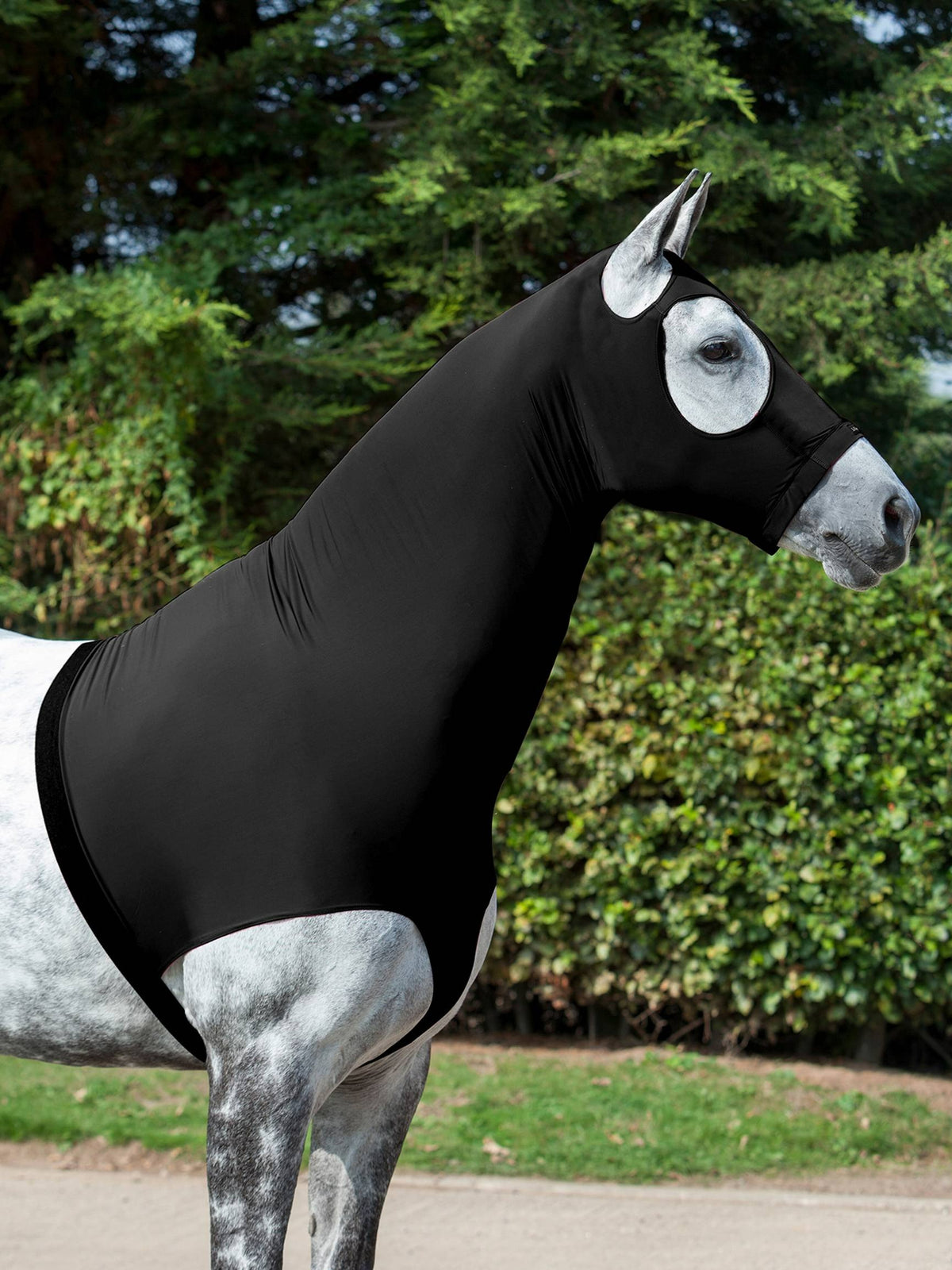LeMieux Stretch Hood Black
