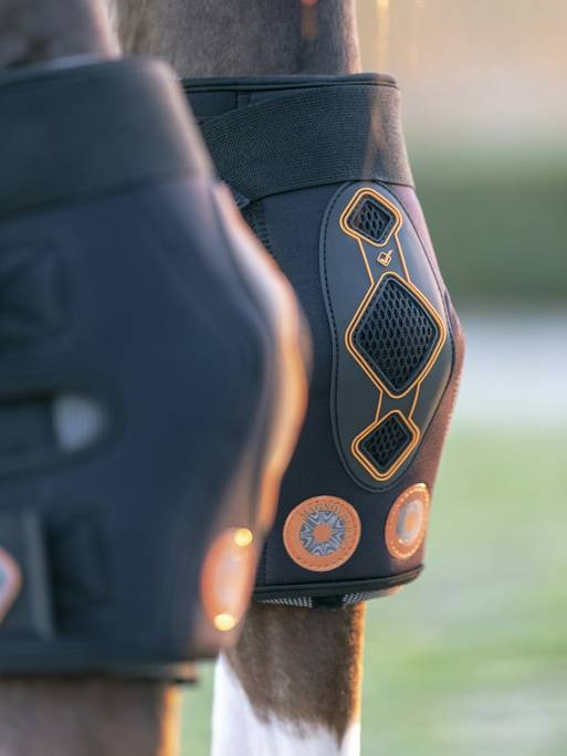 LeMieux Conductive Magno Hock Boots