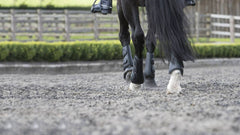 LeMieux Schooling Boots