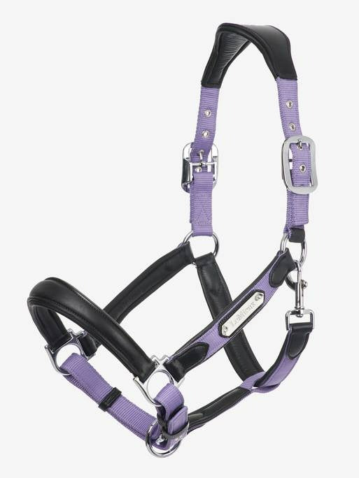 Lemieux Capella Headcollar