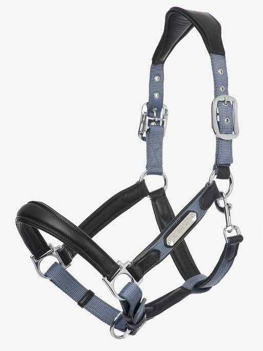 Lemieux Capella Headcollar