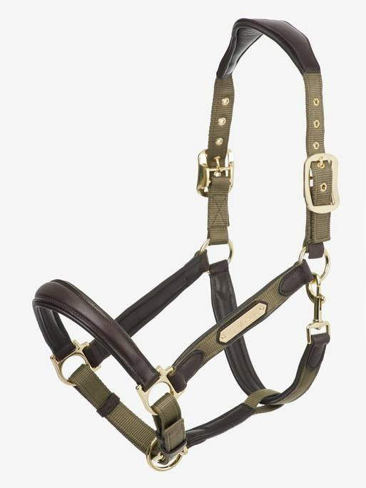 Lemieux Capella Headcollar