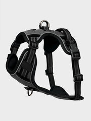 LeMieux Winchester Dog Harness Black