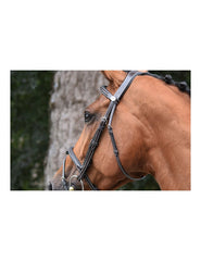 Jumpin Bridle Thursday - Collection Week