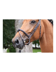 Jumpin Bridle Thursday - Collection Week
