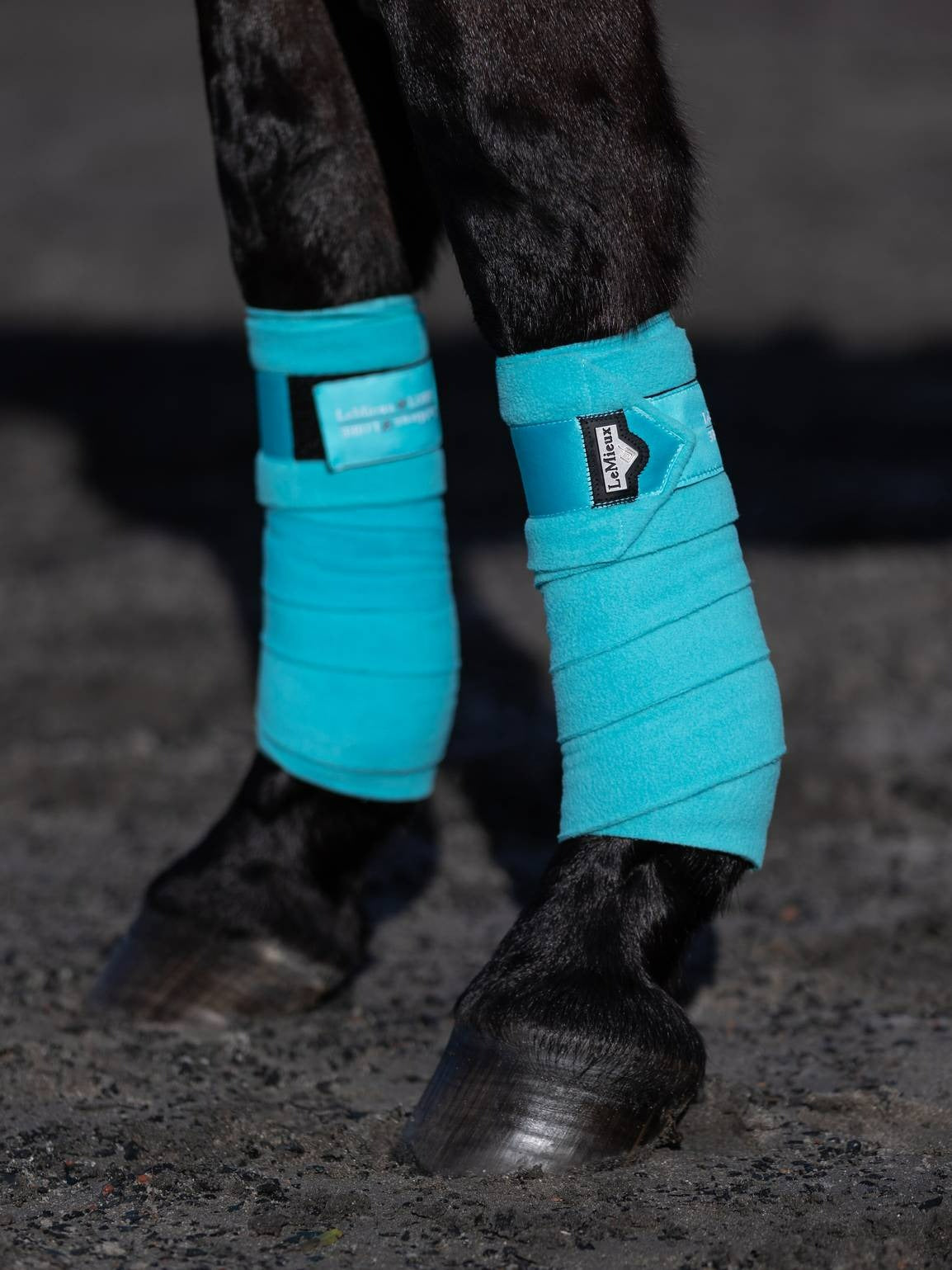 LeMieux Loire Polo Bandages