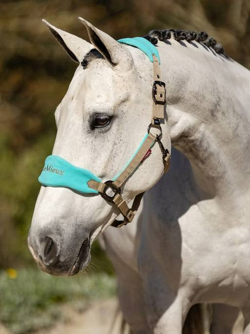 Lemieux Vogue Headcollar & Leadrope