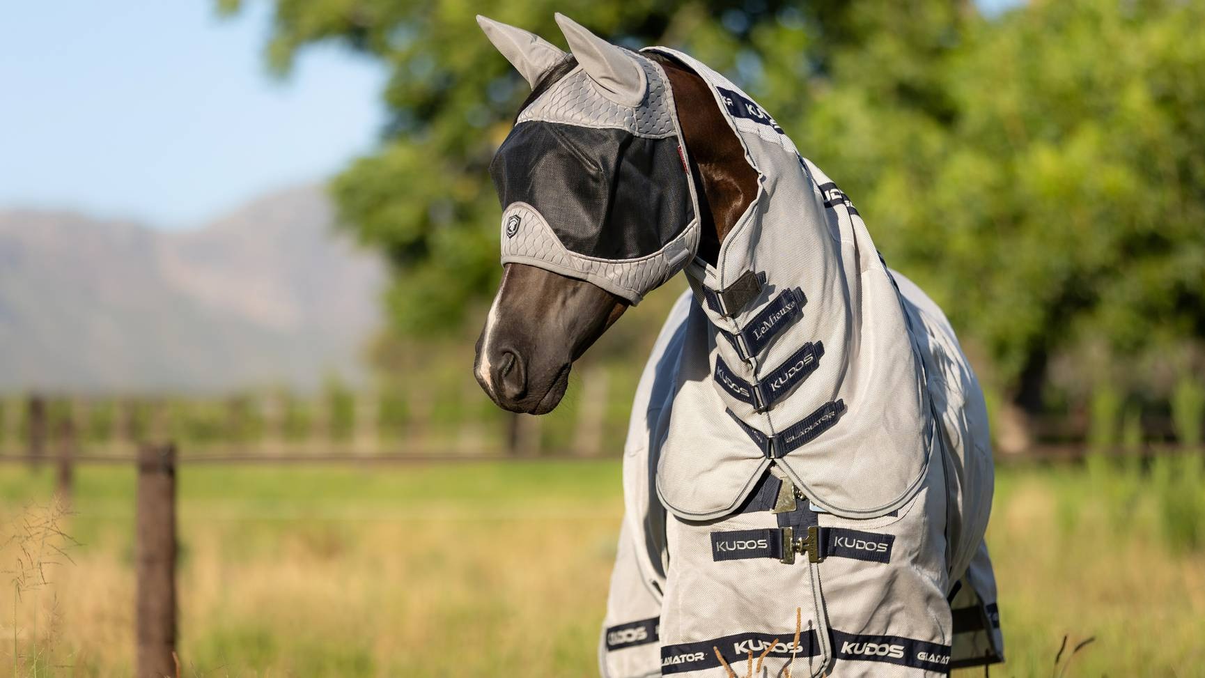 Lemieux Gladiator Half Fly Mask