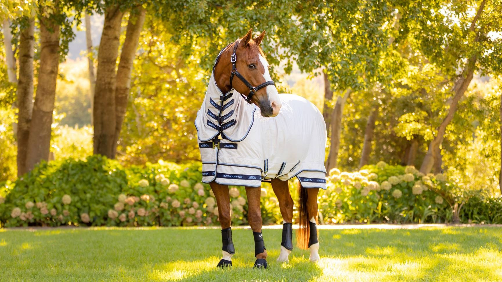 LeMieux Arika Armour-Tek Fly Rug