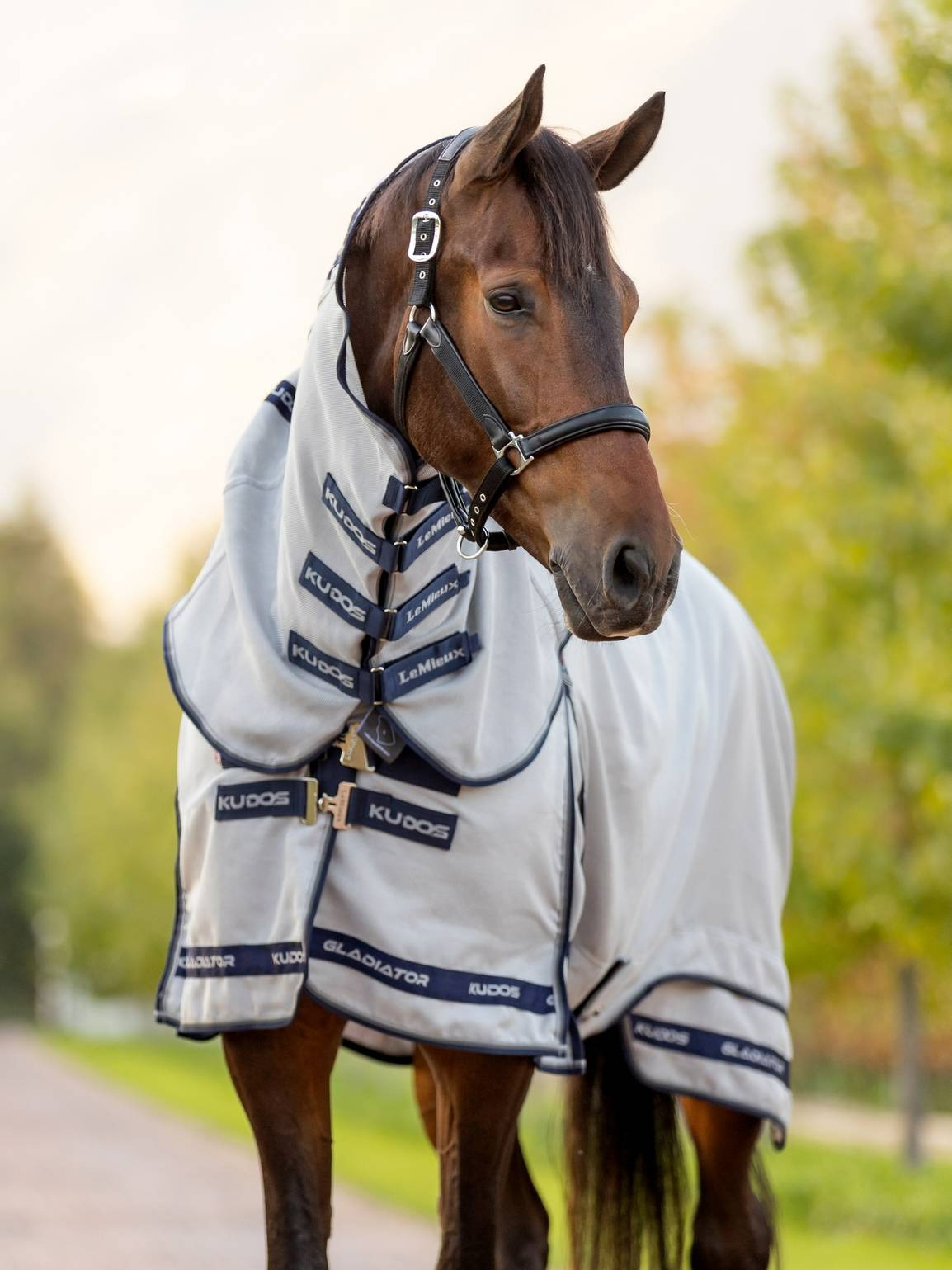 LeMieux Kudos Gladiator Fly Rug Silver