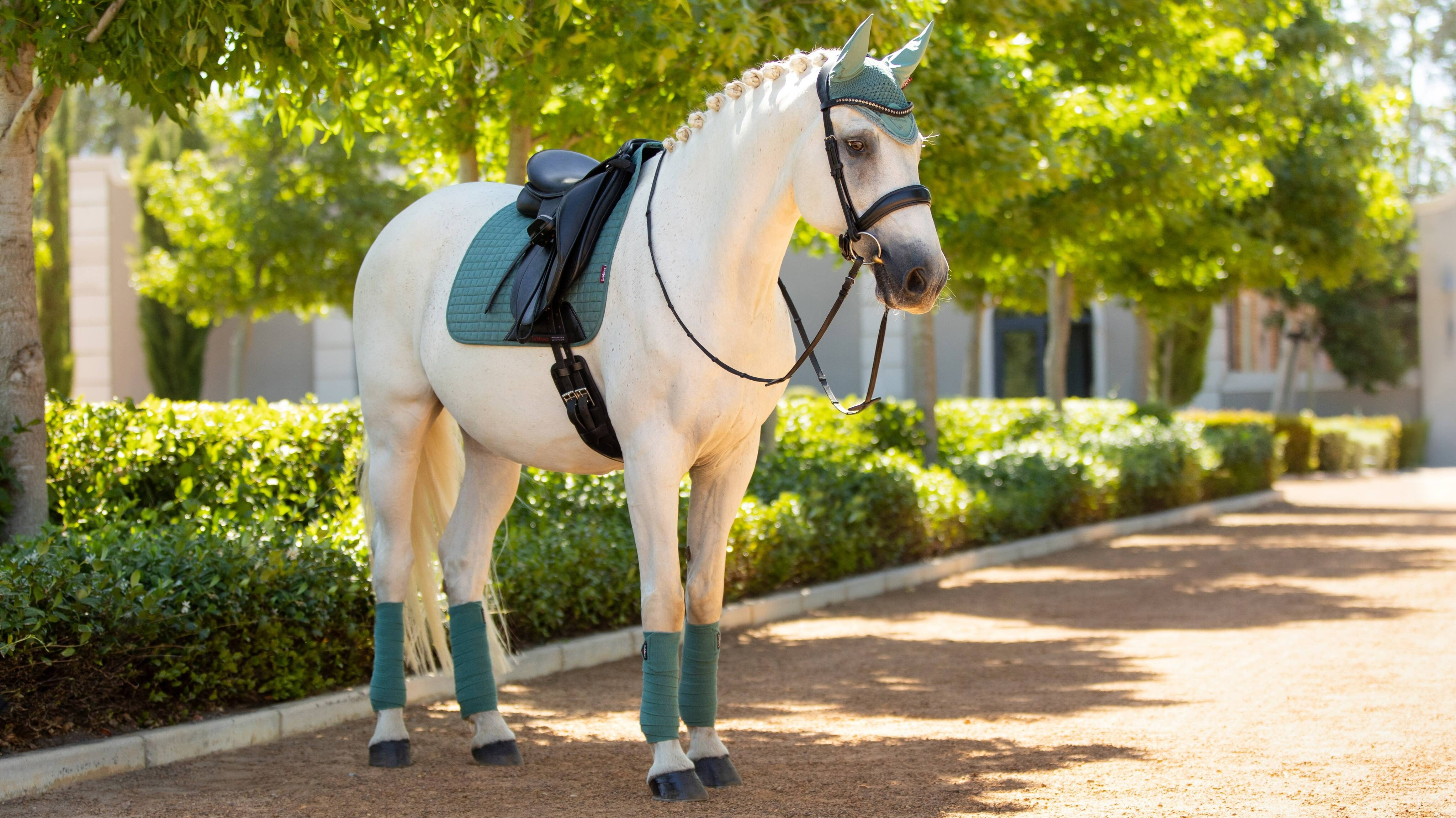 Lemieux Classic Polo Bandages