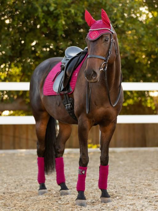 Lemieux Suede Dressage Square