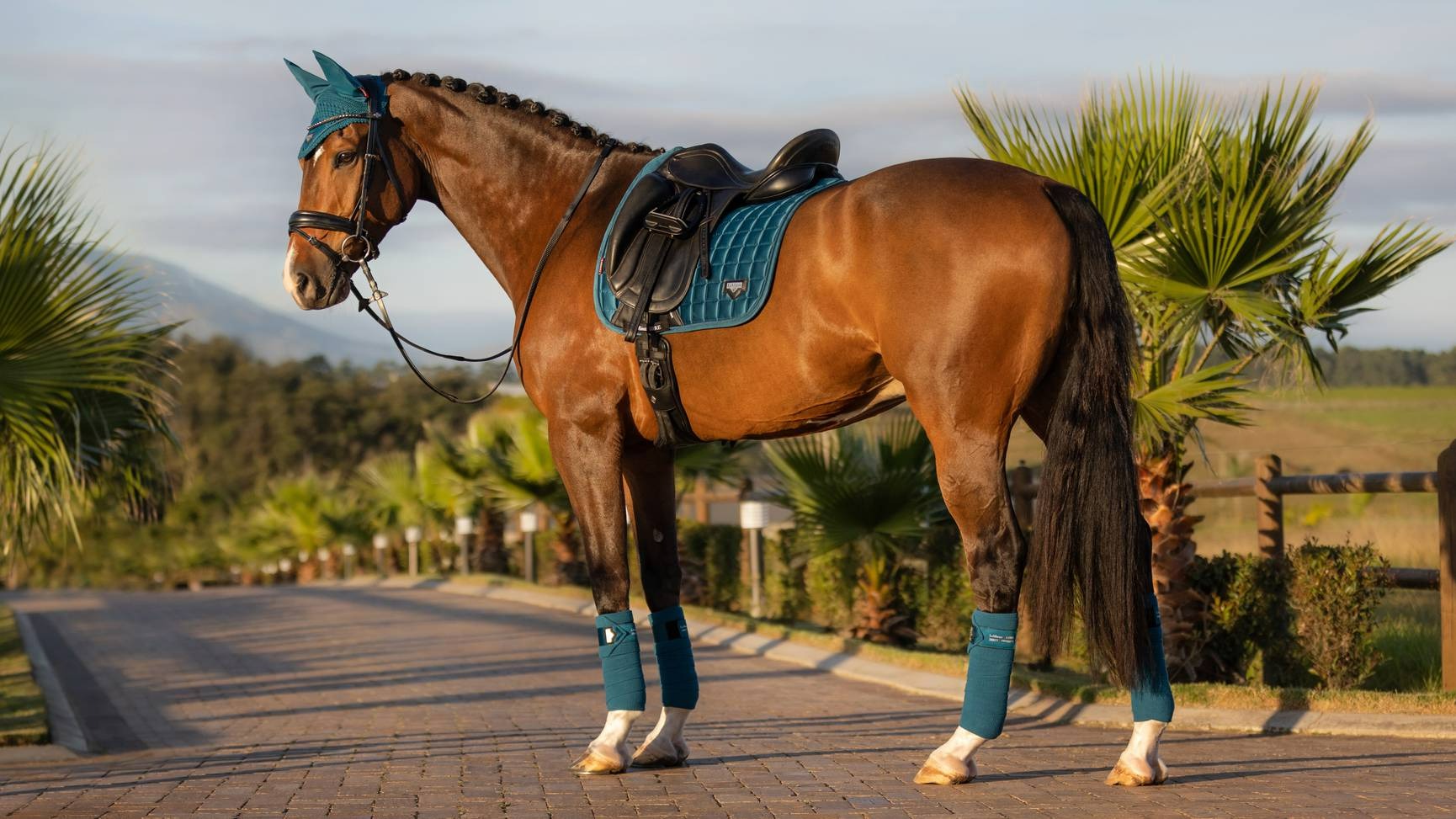 LeMieux Loire Polo Bandages