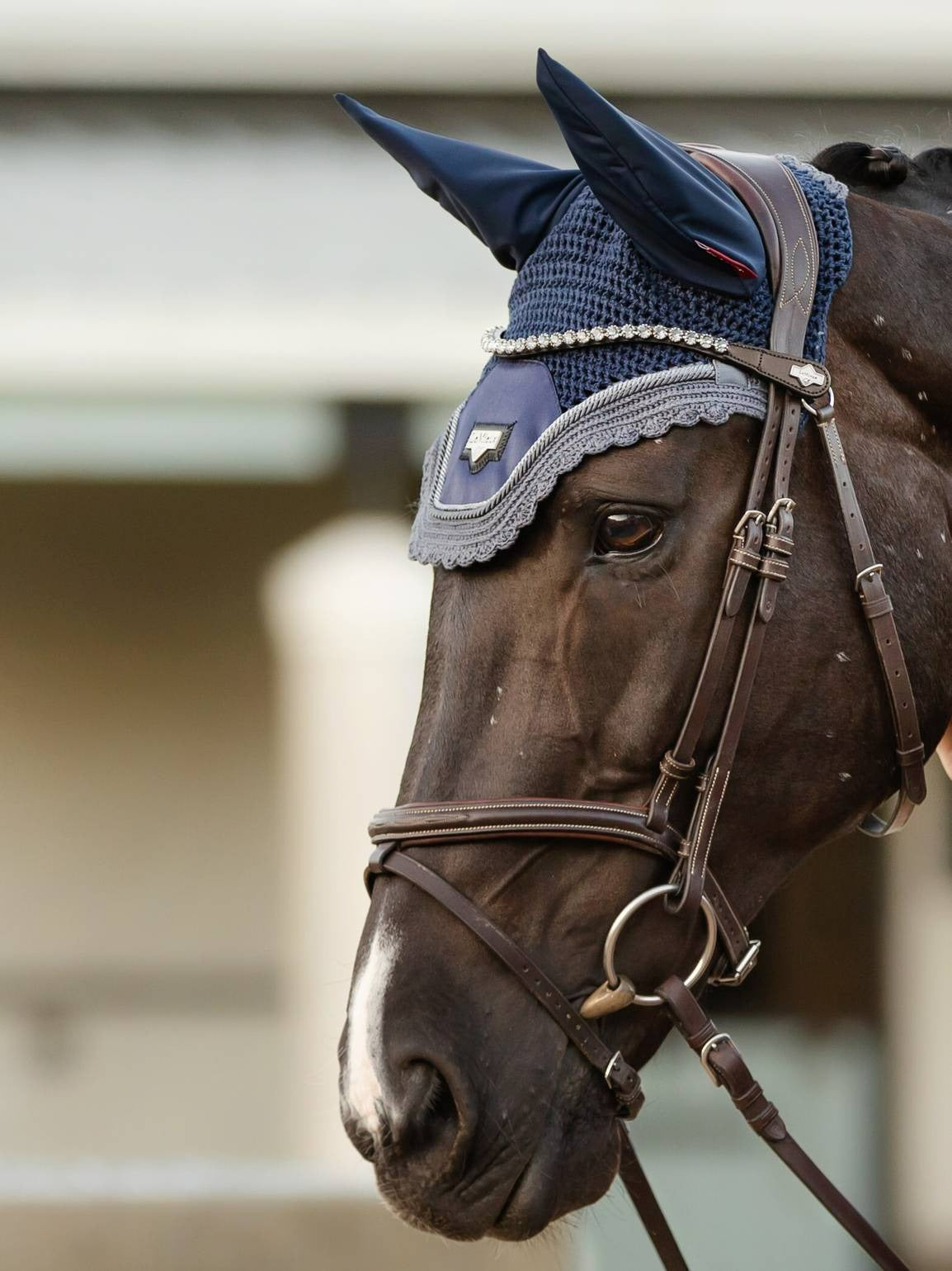 LeMieux Classic Browband Leather Twilight