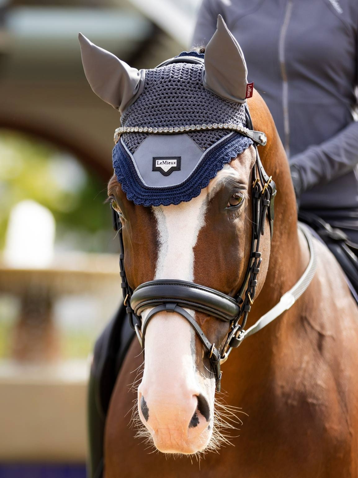 LeMieux Classic Browband Leather Twilight