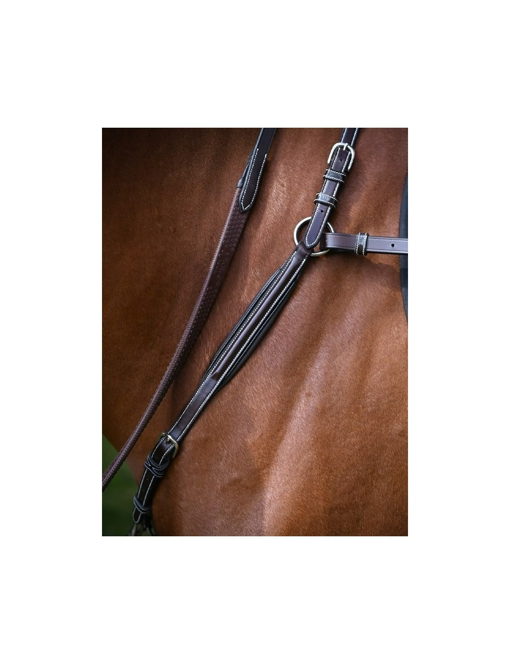 Jumpin Wednesday Breastplate - Week Collection