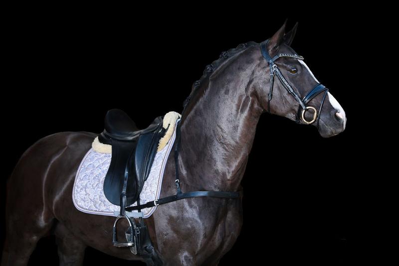 Lumiere Alicia Dressage Breastplate