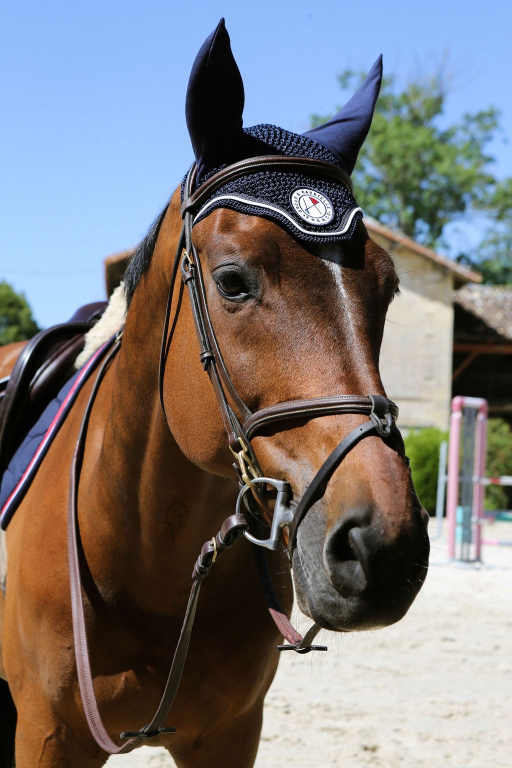 Oscar & Gabriel Soundproof Ear Bonnets For Horses