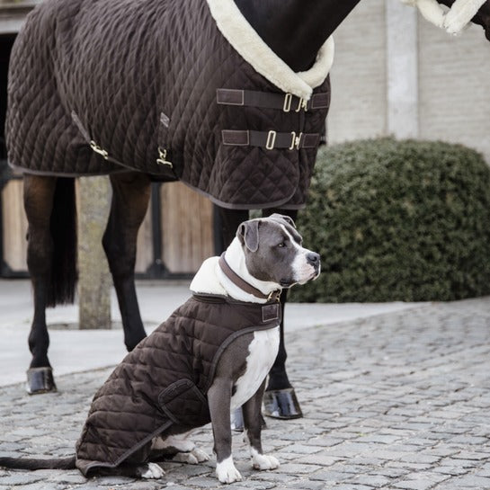 Kentucky Horsewear Dog Coat Original