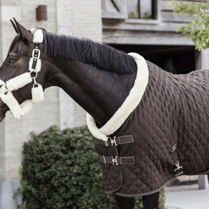 Kentucky Horsewear Show Rug 160g