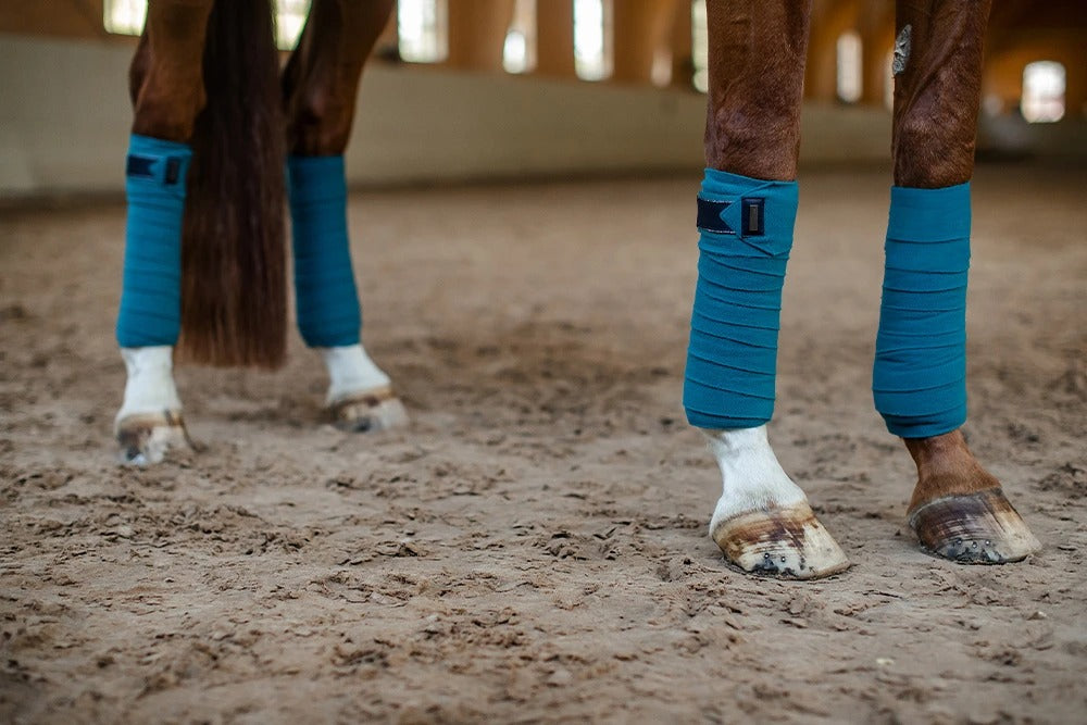 Equestrian Stockholm Fleece Bandages Aurora Blues
