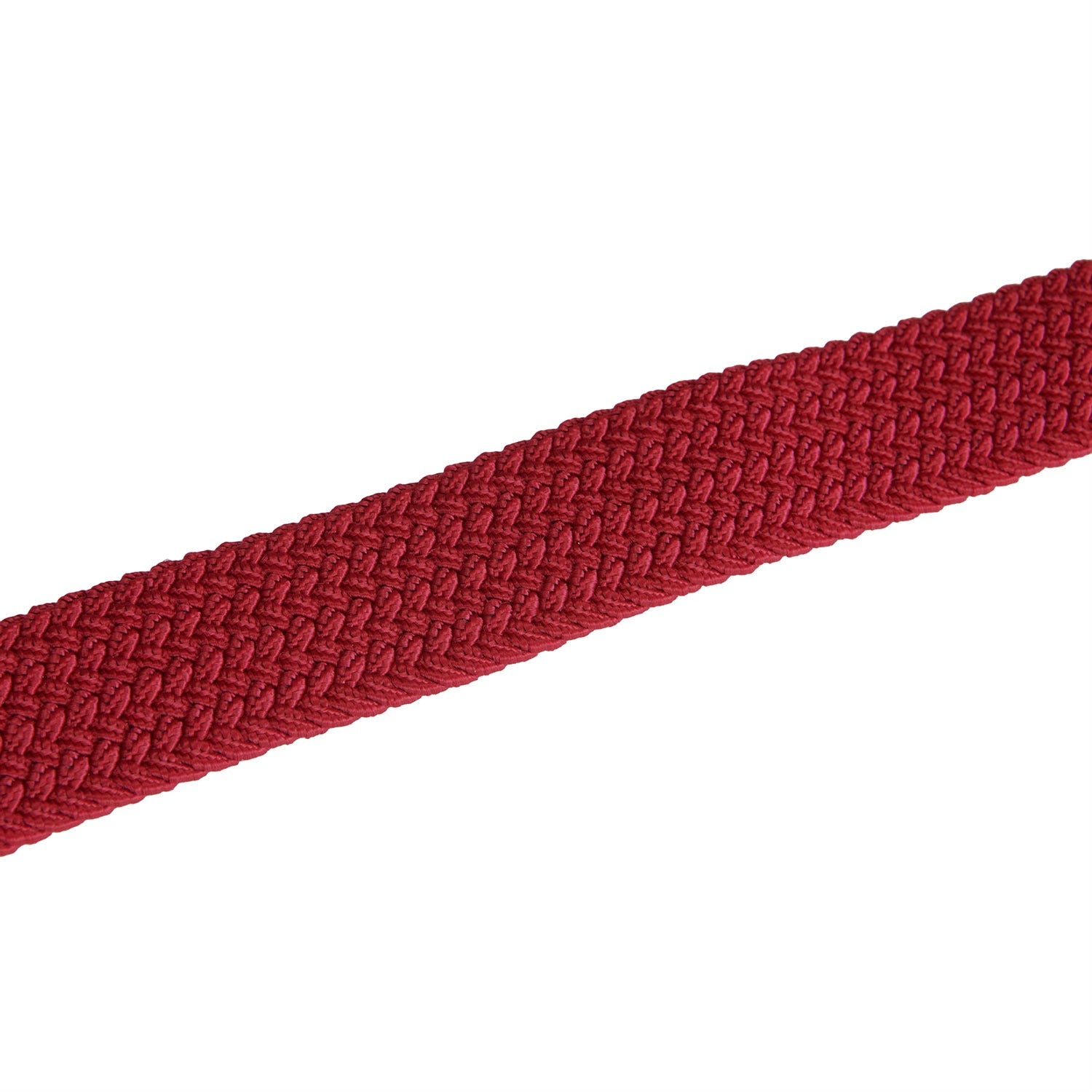 Equestro Woven Elastic Belt