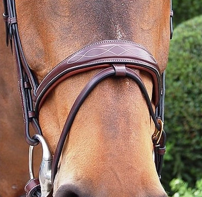 Dy’on D Collection Anatomic Flash Noseband Bridle