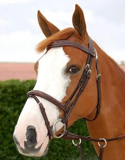 Dy’on Working Collection “Fancy” Flash Noseband