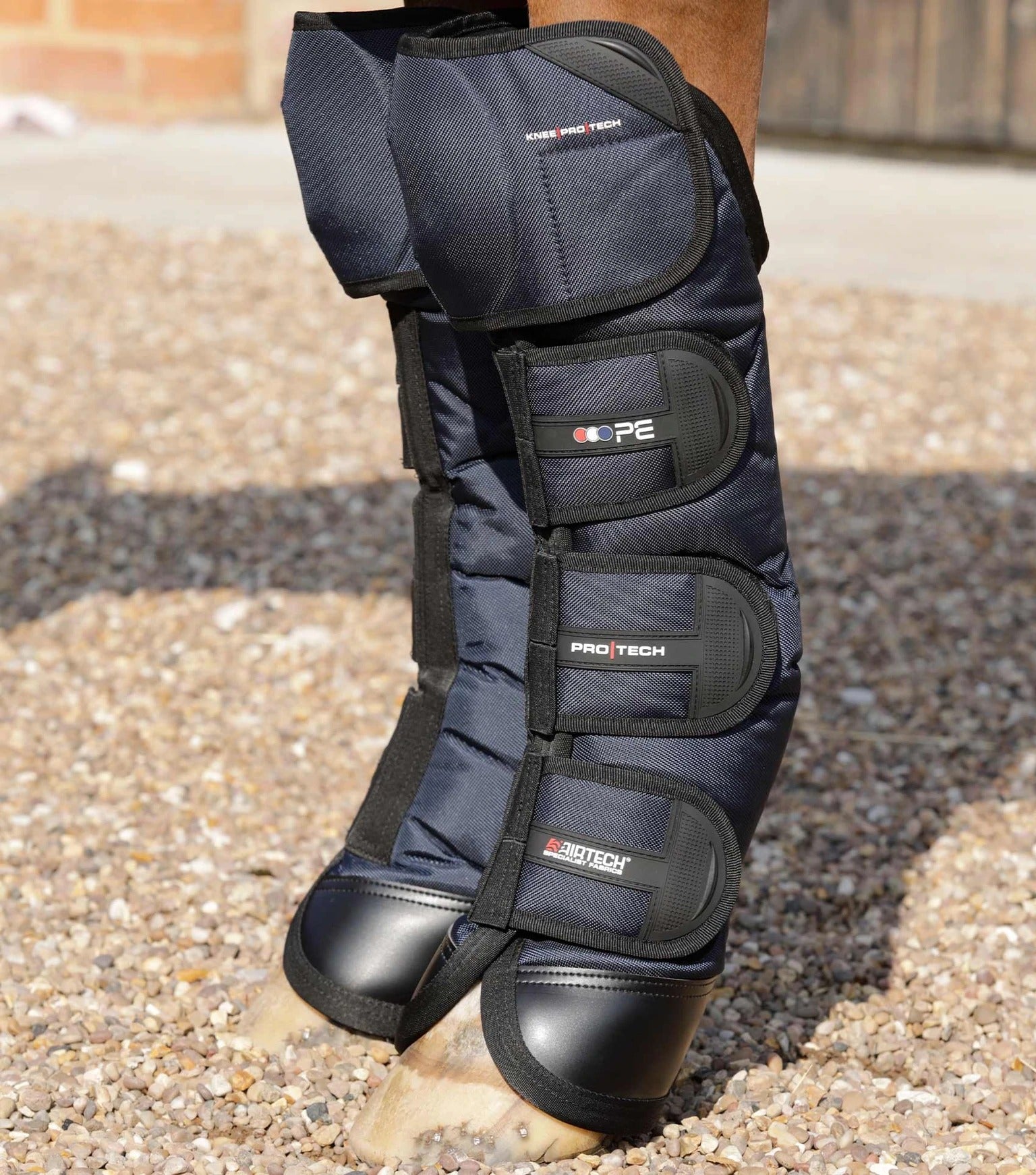 Ballistic Knee Pro-Tech Horse Travel Boots