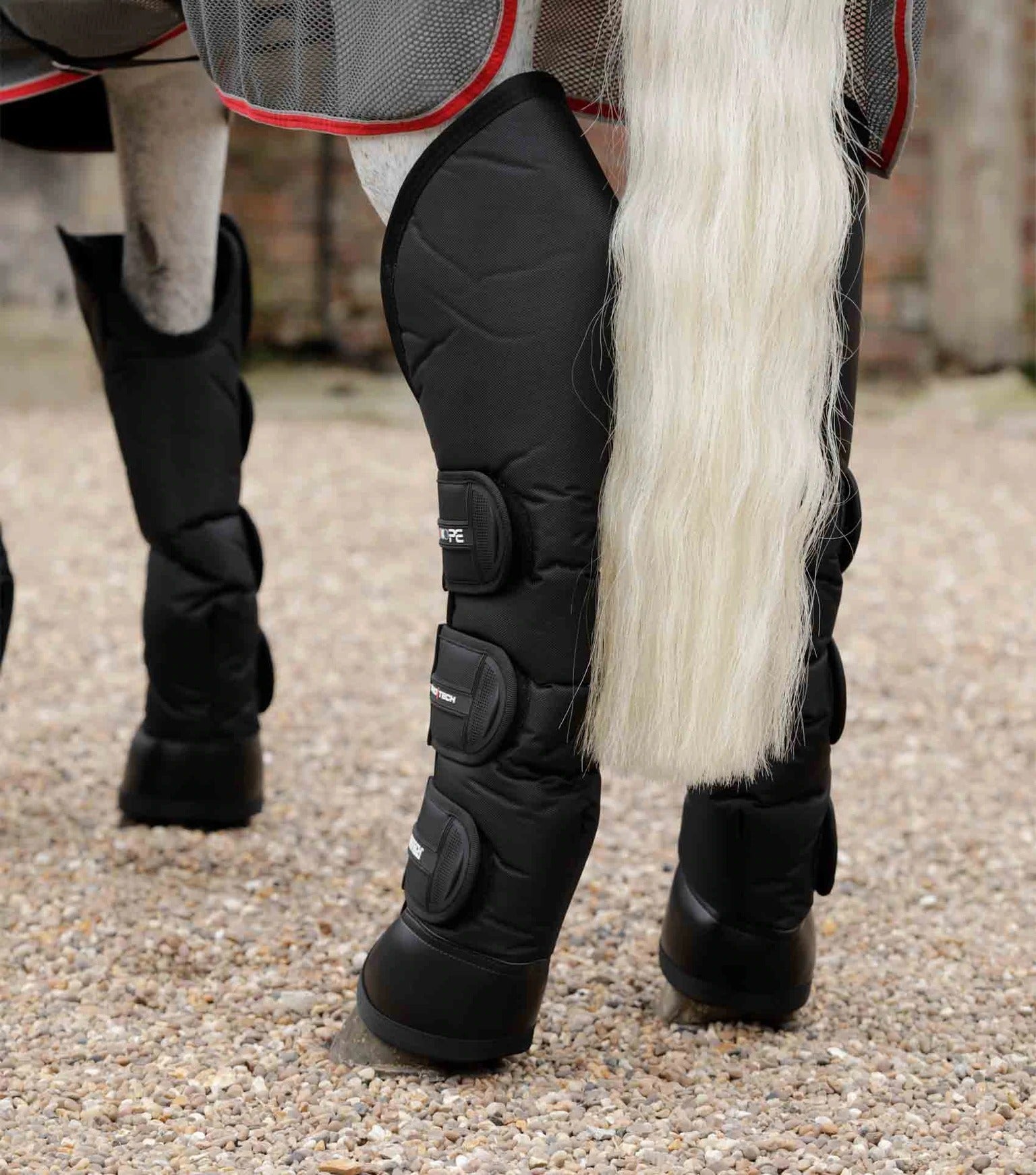 Ballistic Knee Pro-Tech Horse Travel Boots
