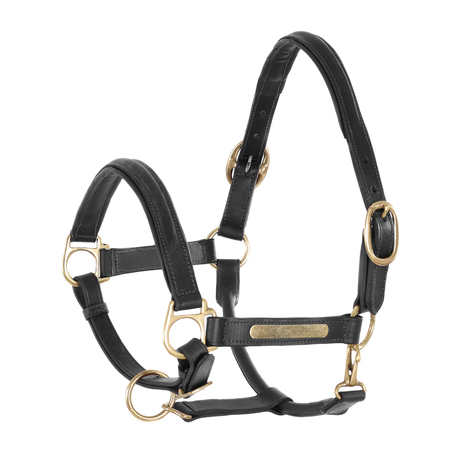 Leather Halter With Brass Nameplates- Umbria Equitazione