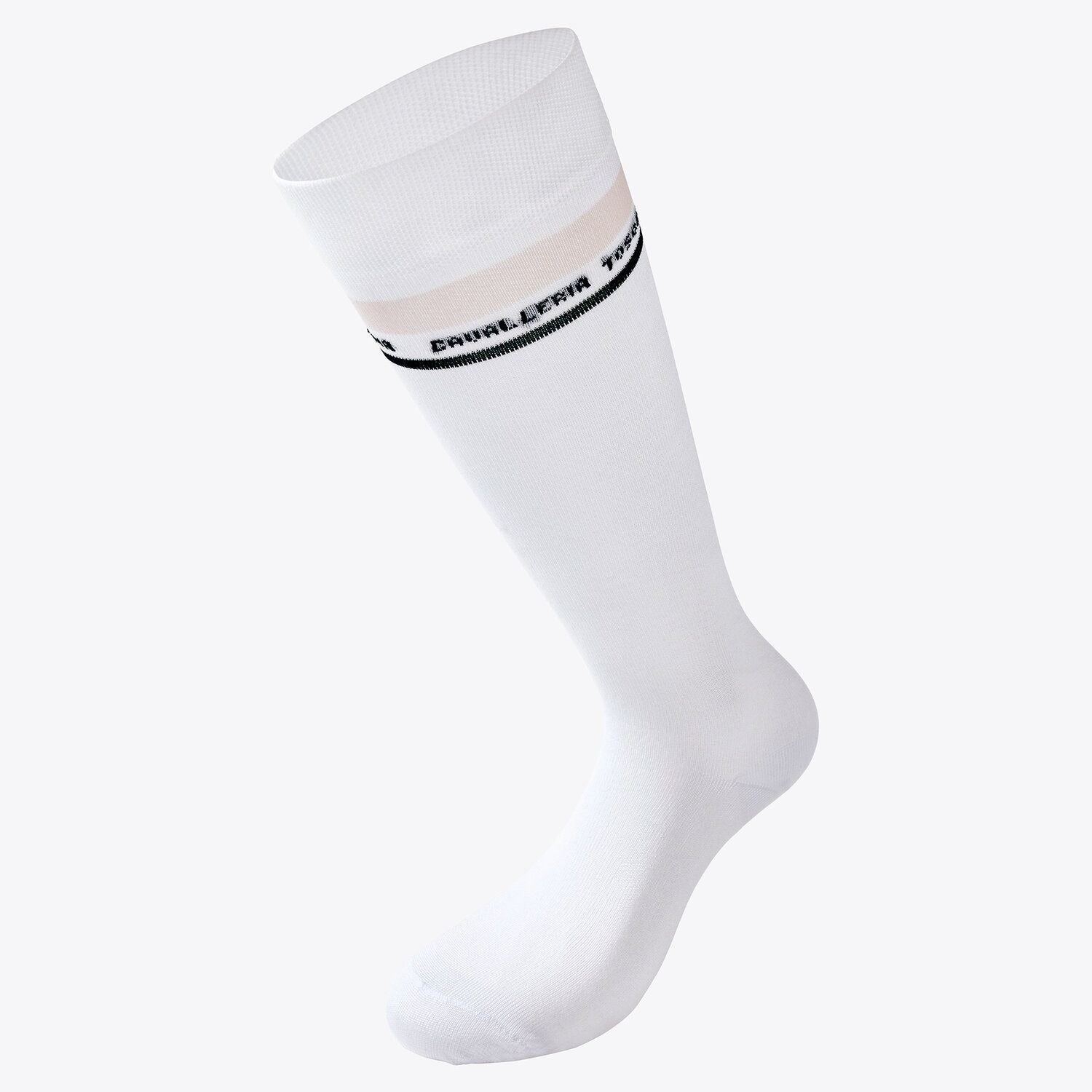 CT Stripe Socks