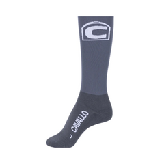 Cavallo Silver Socks